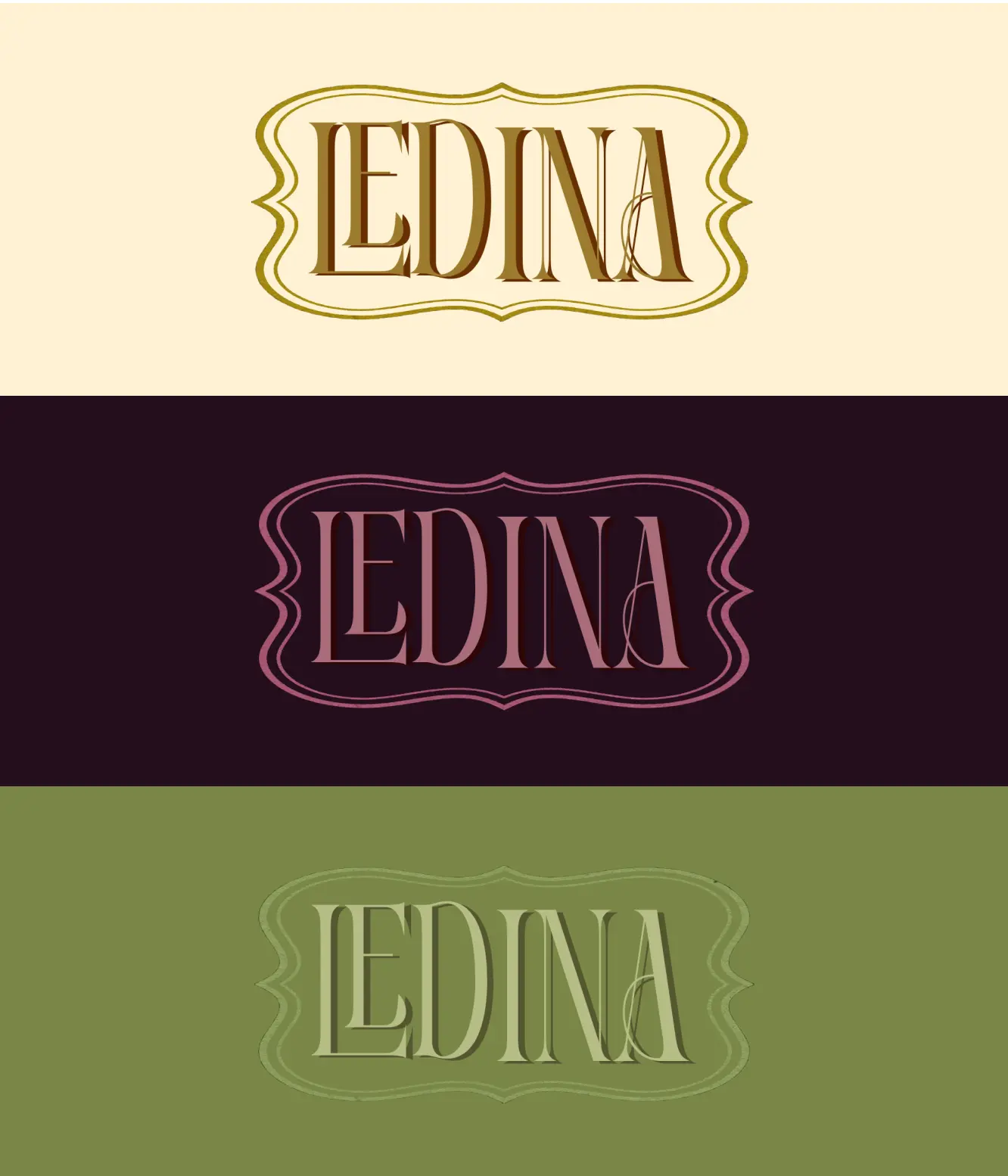Ledina Logo